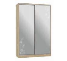 Шкаф-купе Рио 4-600 токио