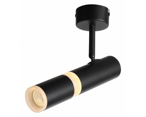 Светильник на штанге ST-Luce Escopio