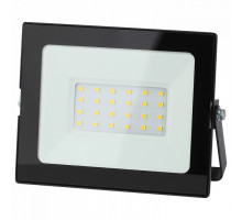 Настенно-потолочный прожектор Эра LPR-021 LPR-021-0-40K-030