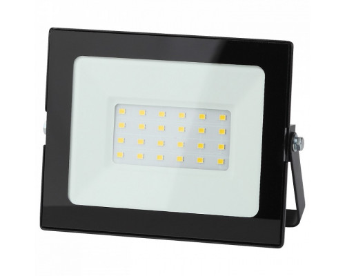 Настенно-потолочный прожектор Эра LPR-021 LPR-021-0-40K-030