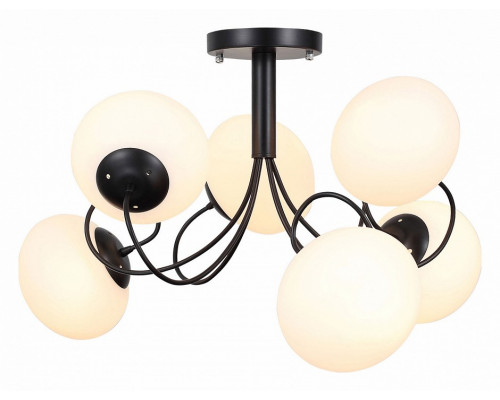 Люстра на штанге EVOLUCE Acini SL717.402.06