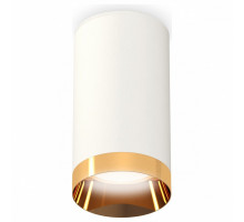 Накладной светильник Ambrella Techno Spot 246 XS6322024