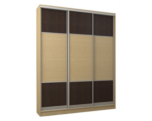 Шкаф-купе Адриано-3.1 2300x624x2500 мм