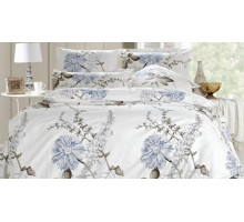 Постельное белье евростандарт A-167