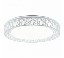 Накладной светильник TopLight Diana TL1204X-72WH