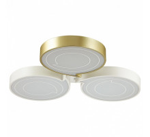 Накладной светильник Lumion Dilip 3646/60CL