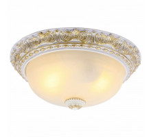 Накладной светильник Arte Lamp Torta A7121PL-2WG