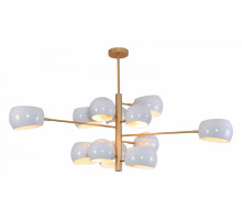 Люстра на штанге Lussole TOPGRADE Kenora 