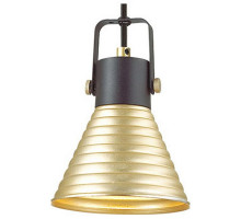 Подвесной светильник Lumion Ollie 3787/1