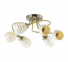 Подвесная люстра Lumion Dorothy 4528/6C