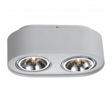 Накладной светильник Arte Lamp Cliff A5643PL-2WH