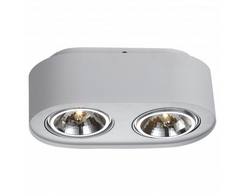 Накладной светильник Arte Lamp Cliff A5643PL-2WH