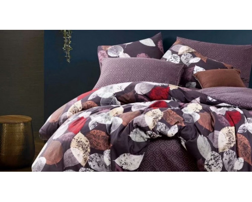 Постельное белье семейное Вальтери MP