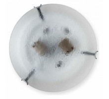 Накладной светильник TopLight Julianna TL9301Y-02SM