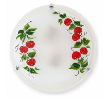 Накладной светильник TopLight Omtar TL9371Y-02WH