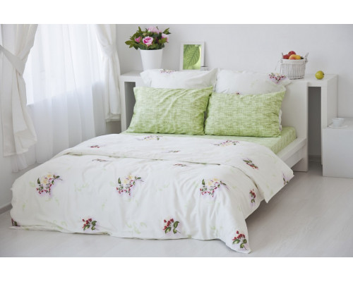 Постельное белье евростандарт Цвет