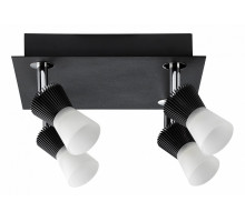 Спот Paulmann Konos 60203