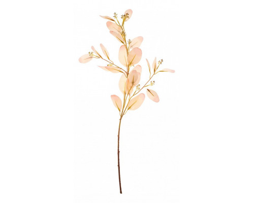 Ветка (70 см) Эвкалипт 278-132