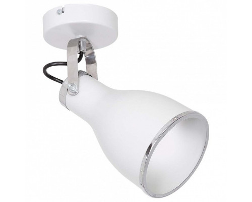 Спот Luminex Bjorn 9164