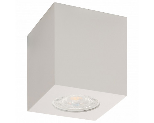 Накладной светильник Denkirs DK3010 DK3010-WH