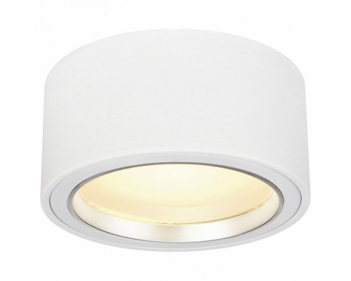 Накладной светильник SLV Pl Aufbaustrhler 161461