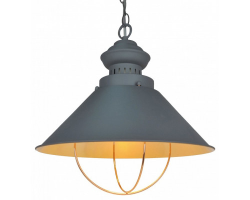 Подвесной светильник Arte Lamp Warhol A3129SP-1GY