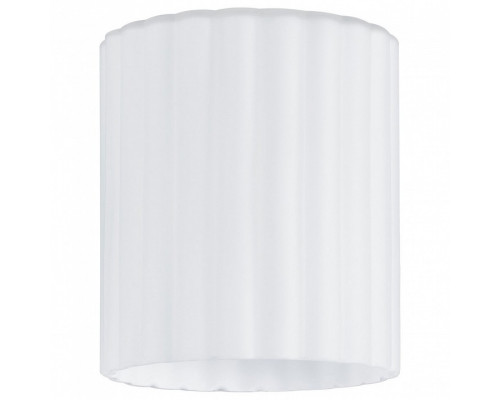 Плафон стеклянный Paulmann Zyli 60054