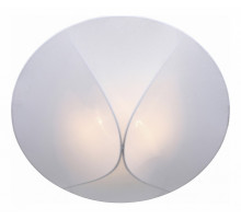 Накладной светильник ST-Luce Tonico 