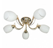 Потолочная люстра Escada Basic 31 688/5PL