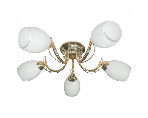 Потолочная люстра Escada Basic 31 688/5PL