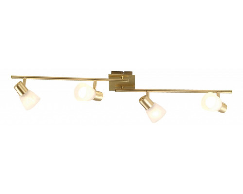 Спот Globo Raider 54540-4