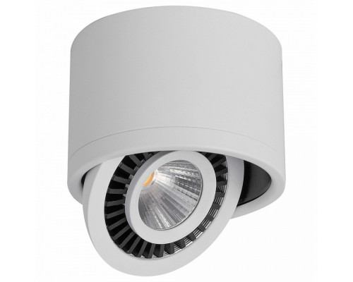 Накладной светильник Feron AL523 32702