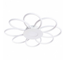 Накладной светильник Arte Lamp Polli A2528PL-8WH