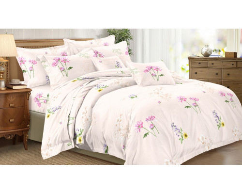 Постельное белье двуспальное Art Color 030-AC