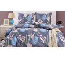 Постельное белье евростандарт CL-405
