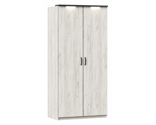 Шкаф платяной Техно ЛД 678.131.000.008