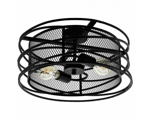 Накладной светильник Eglo Blackwater 43091