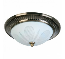 Накладной светильник TopLight Fae TL5060Y-02AB