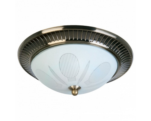 Накладной светильник TopLight Fae TL5060Y-02AB