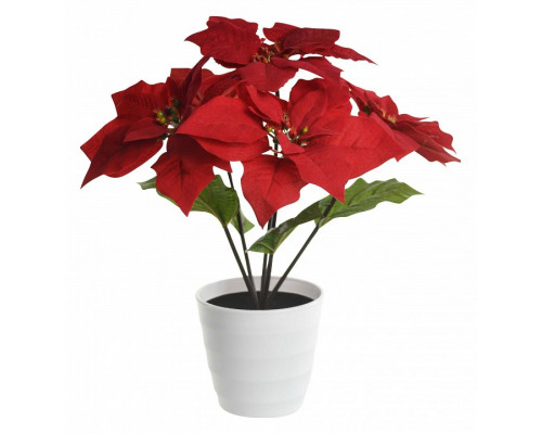 Растение в горшке Globo Orphelia 28024