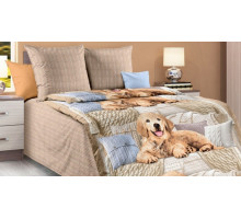 Постельное белье полутораспальное ДБ-68