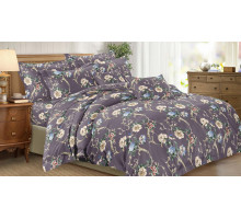 Постельное белье евростандарт Art Color 040-AC