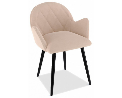 Стул DikLine 215