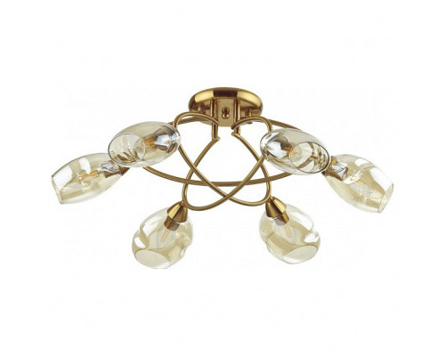 Потолочная люстра Lumion Orla 4483/6C