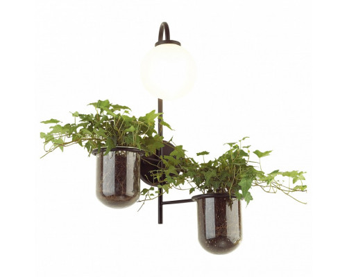 Бра Odeon Light Flower 4681/1W