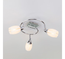 Спот Eurosvet Meridiane 20130/3 хром