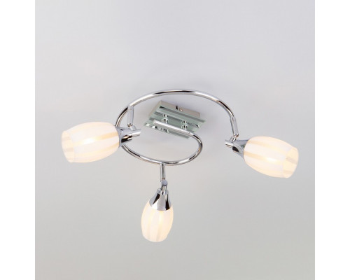 Спот Eurosvet Meridiane 20130/3 хром