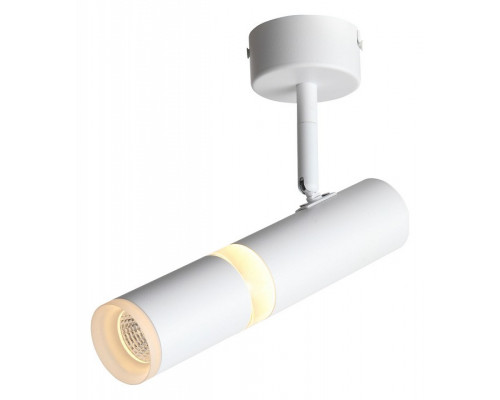 Светильник на штанге ST-Luce Escopio