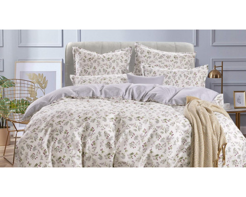 Постельное белье евростандарт Руссо