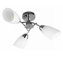 Люстра на штанге TopLight Carmel TL3600X-03CH